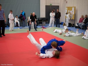 2013 03 05 - 068 Per Ottosson